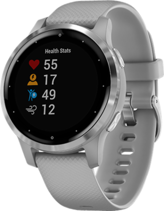 smartwatchgarminvivo